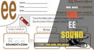 Exploring the EE Sound: Phonetics, Formation, and Examples in Language