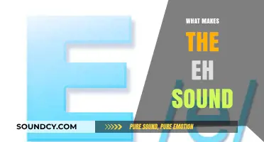 Mastering the 'Eh' Sound: Phonetics, Pronunciation, and Cultural Significance