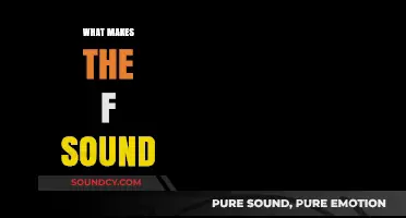 Unraveling the F Sound: Mechanics, Articulation, and Phonetic Secrets