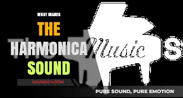 Unveiling the Harmonica's Unique Sound: Physics, Technique, and Emotion