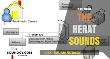 Unraveling the Science Behind What Makes the Heart Produce Sounds