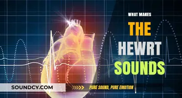 Understanding the Science Behind What Makes Your Heart Beat