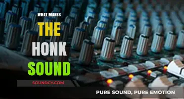 Unraveling the Mystery: What Makes the Honk Sound Unique?