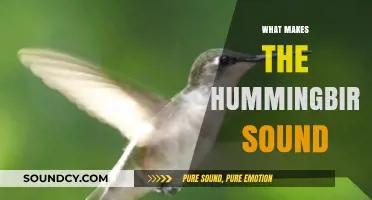 Unveiling the Unique Hummingbird Sound: Science Behind Their Wings