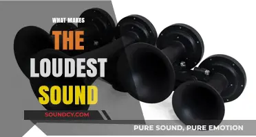 Exploring the World's Loudest Sounds: Causes, Impacts, and Science Behind Them