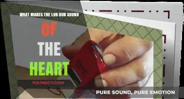 Understanding the Science Behind Your Heart's Lub Dub Sound