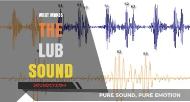 Unraveling the Mystery: What Causes the Lub Sound in Our Hearts