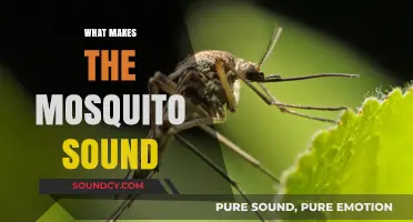 Unraveling the Buzz: What Makes the Mosquito Sound So Annoying?