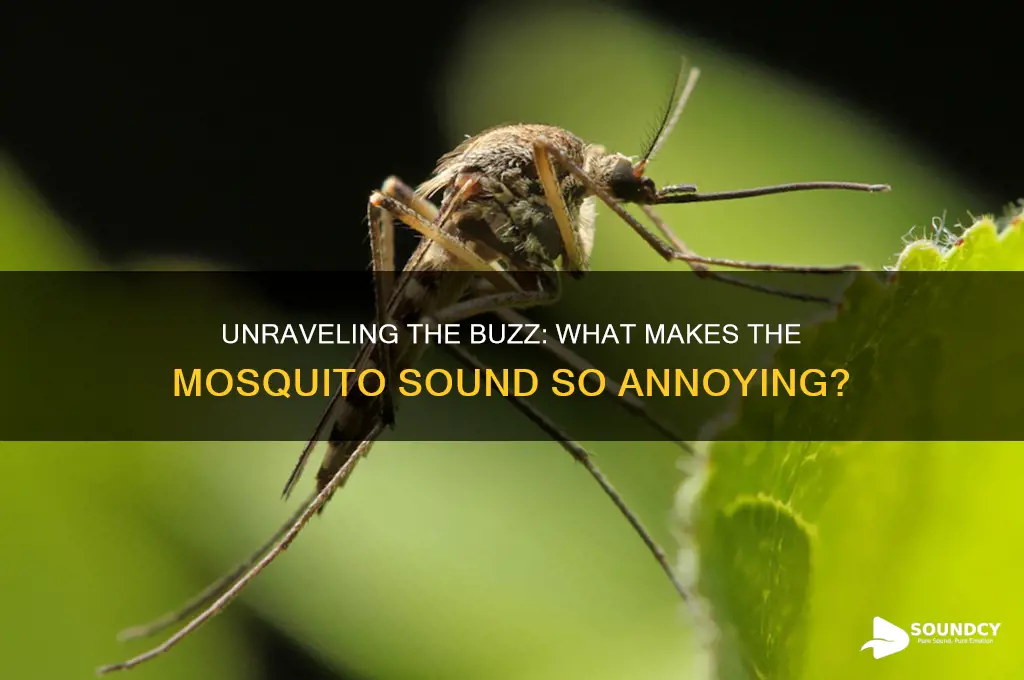 what makes the mosquito sound