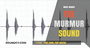Unraveling the Mystery: What Causes the Murmur Sound?