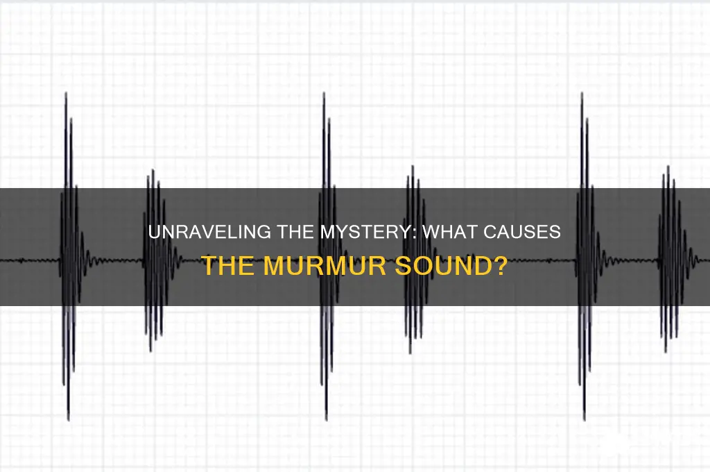 what makes the murmur sound