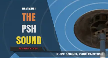 Unveiling the Unique Psh Sound: Origins, Mechanics, and Fascinating Science
