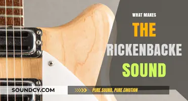 Unveiling the Unique Tone: What Makes the Rickenbacker Sound Iconic