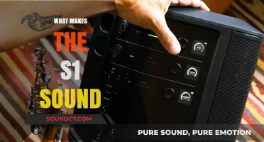Unveiling the Unique Sonic Signature of the S1 Sound