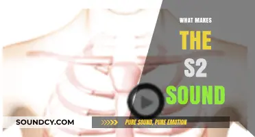 Exploring the Unique Characteristics of the S2 Heart Sound