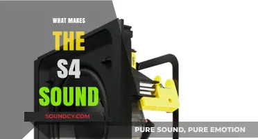 Unveiling the Unique Sonic Signature of the S4 Sound System
