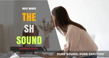 Unraveling the Mystery: How the 'Sh' Sound is Produced in Speech