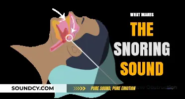 Understanding Snoring: Causes, Mechanisms, and the Science Behind the Sound