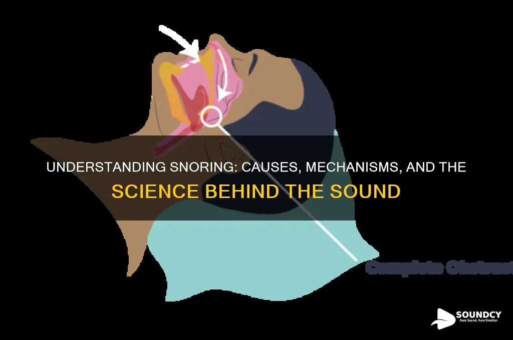 what makes the snoring sound