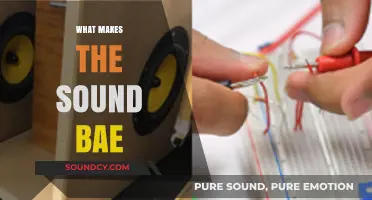 What Makes the Sound Bae: Exploring the Science and Emotion Behind It