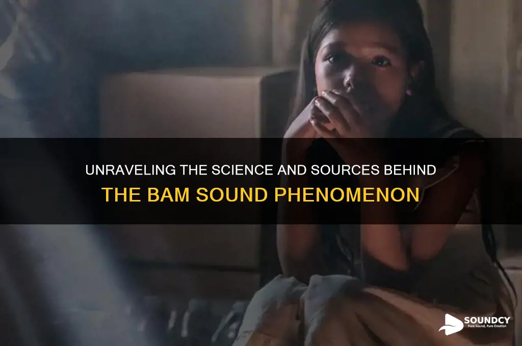 what makes the sound bam