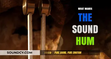 Unraveling the Mystery: What Causes the Intriguing Sound of a Hum
