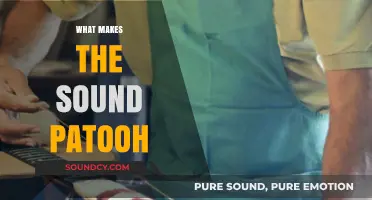 Unraveling the Mystery: What Creates the Unique Patooh Sound?