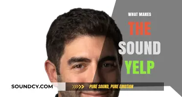 Understanding the Science and Origins of the Distinct Yelp Sound