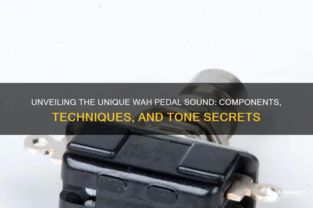 what makes the wahs sound