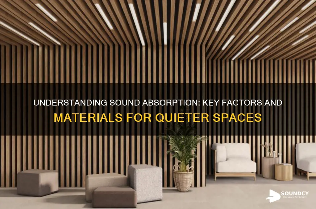 what makes things sound abosorption