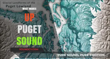 Exploring Puget Sound: Its Unique Geography, Ecology, and Marine Life