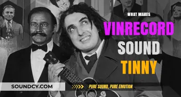 Why VinRecord Sounds Tinny: Causes and Solutions for Better Audio