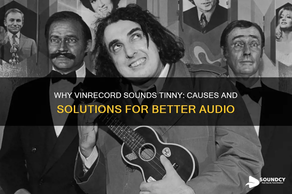 what makes vinrecord sound tinny