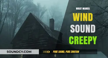 Why Wind Whispers Fear: Unraveling the Eerie Sounds of Nature's Breath