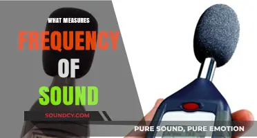How Sound Frequency is Measured: Understanding the Science Behind It