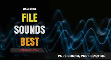 Exploring the Best Sounding Media File Formats for Optimal Audio Quality