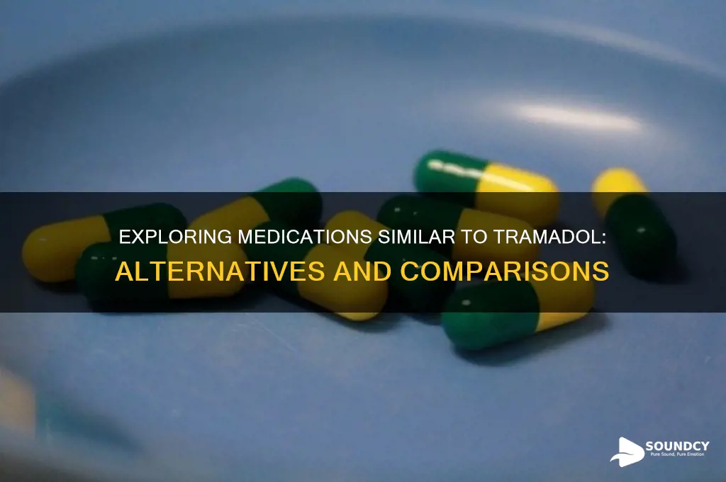 what medication sounds like tramadol
