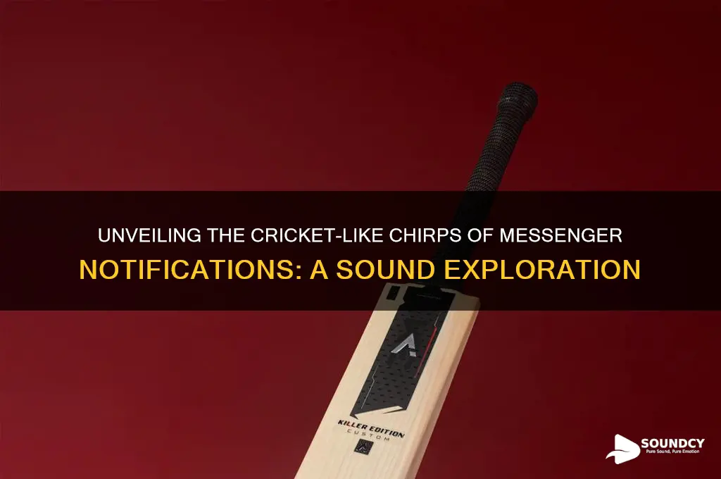 what messenger sounds like crikets