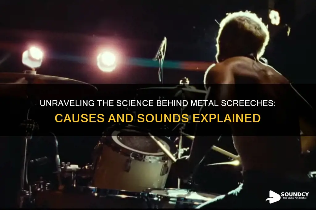 what metal sounds make screeches