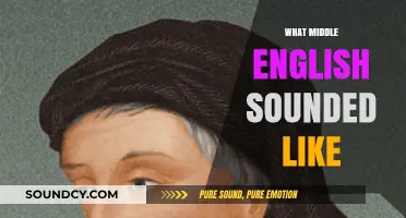 Unveiling the Unique Sounds of Middle English: A Linguistic Journey