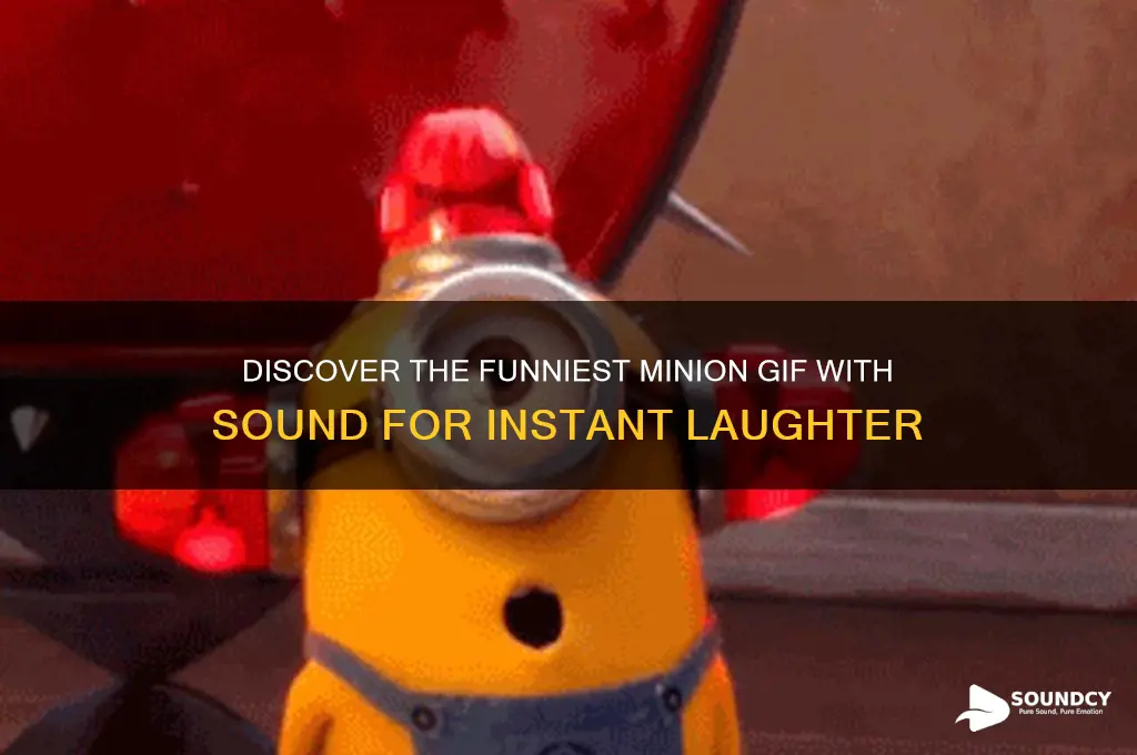 what minion gif with sound