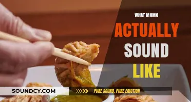 Unveiling the Unique Sounds of Momo: A Culinary Audio Adventure