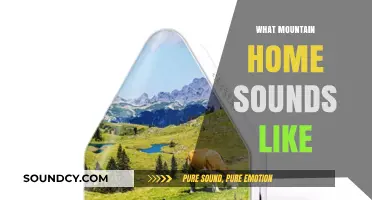 Echoes of Serenity: The Unique Soundscape of Mountain Home Living