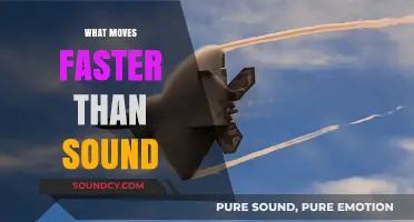 Beyond the Boom: Exploring Phenomena That Outpace the Speed of Sound