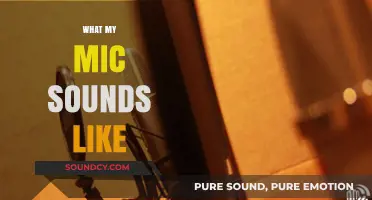 What My Mic Sounds Like: A Deep Dive into Audio Quality