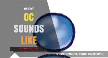 Unveiling My OC's Voice: A Sonic Journey Through Their Personality