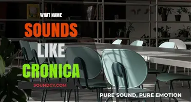 Exploring Names That Resemble Cronica: Unique and Similar-Sounding Options