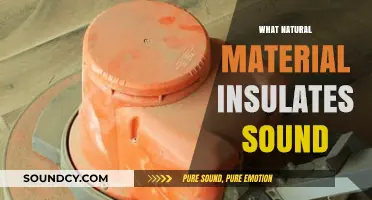 Discover Nature's Best Sound Insulators: Eco-Friendly Acoustic Solutions