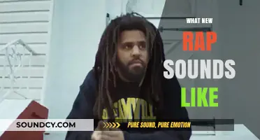 Exploring the Evolution: What New Rap Sounds Like Today
