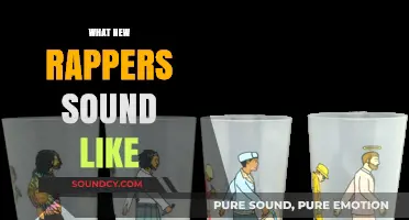 The Evolution of Rap: Analyzing the Unique Sounds of New Rappers